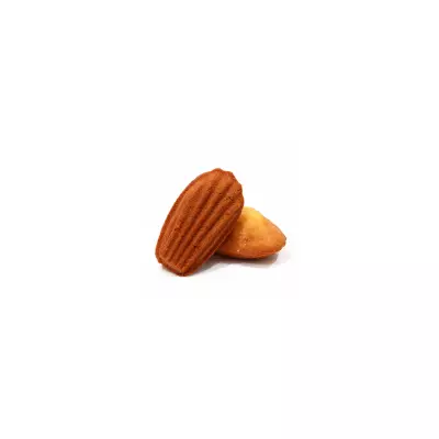 Lemon Madeleine